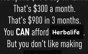 This Online Community Roasts MLMs And Pyramid Schemes One Screenshot At A Time (30 New Posts)