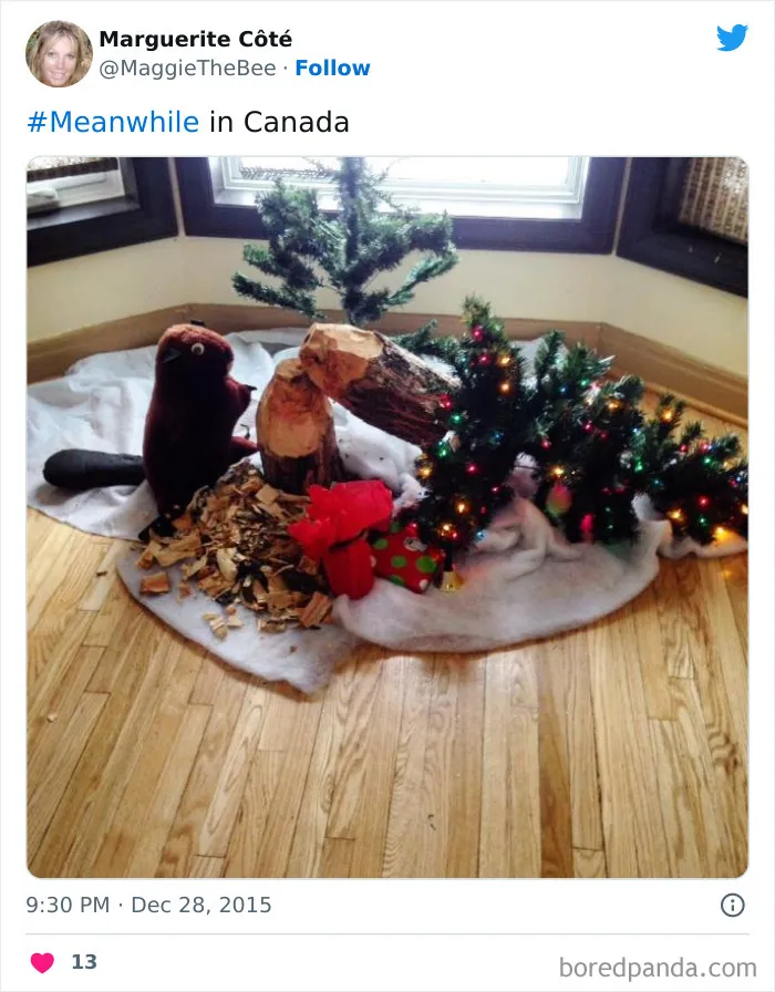 86 Funny Canadian Tweets That Tell It Like It Is