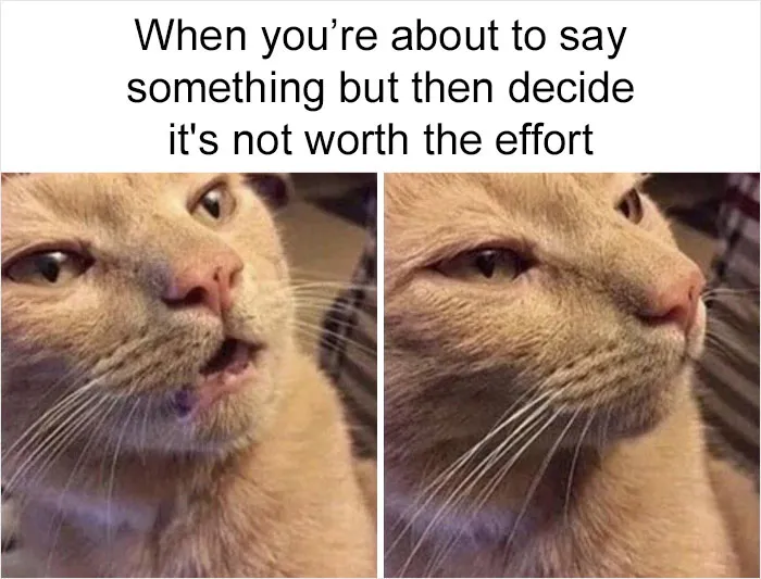 50 Memes That May Hit Too Close To Home For Any Introverts Out There, As Shared By This Instagram Account