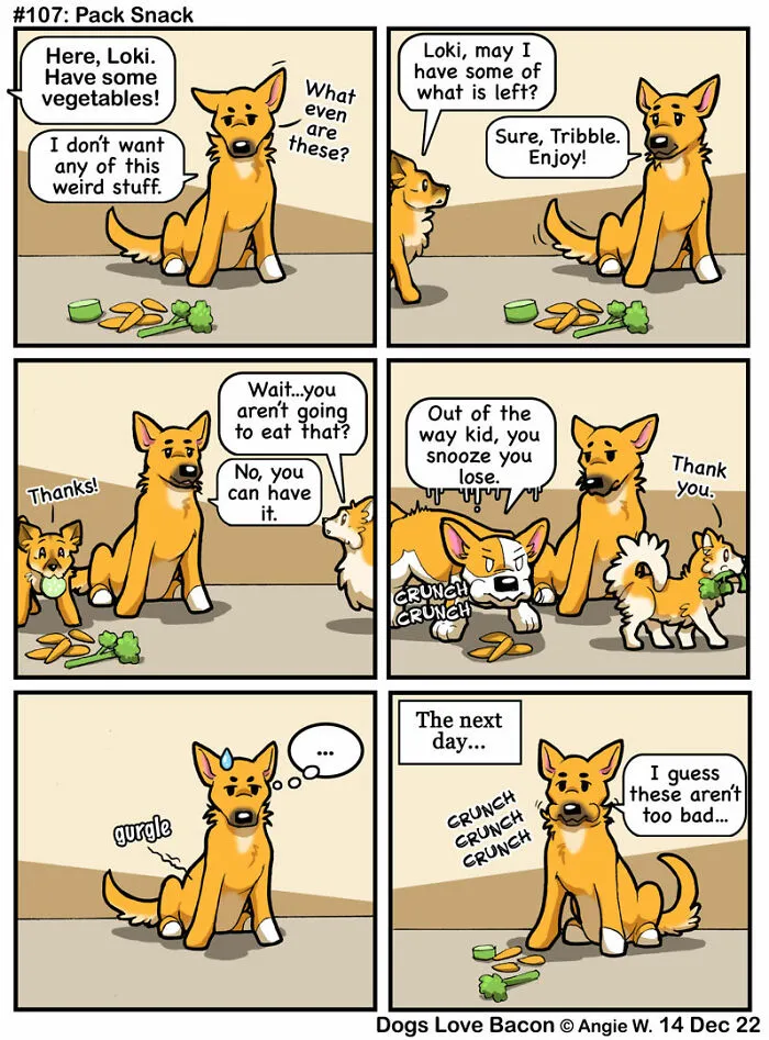 I Capture The Funny Reality Of Being A Dog Owner And Put It Into My Comics (25 New Pics)