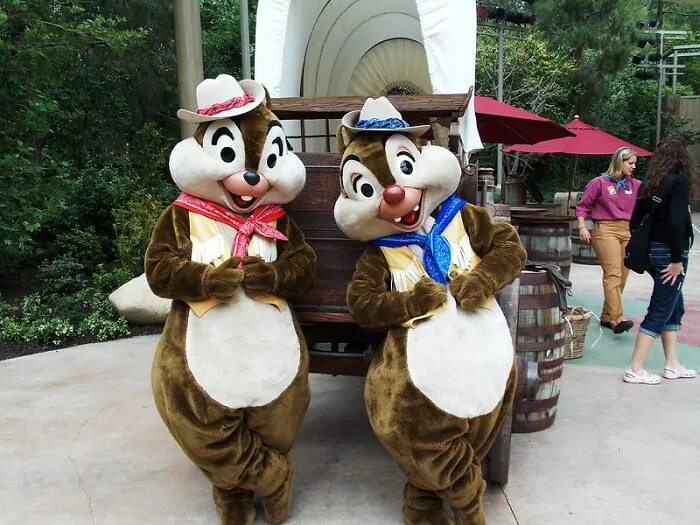 25 Of The Most Controversial Mysteries And Tales From Disney Park Staff And Visitors