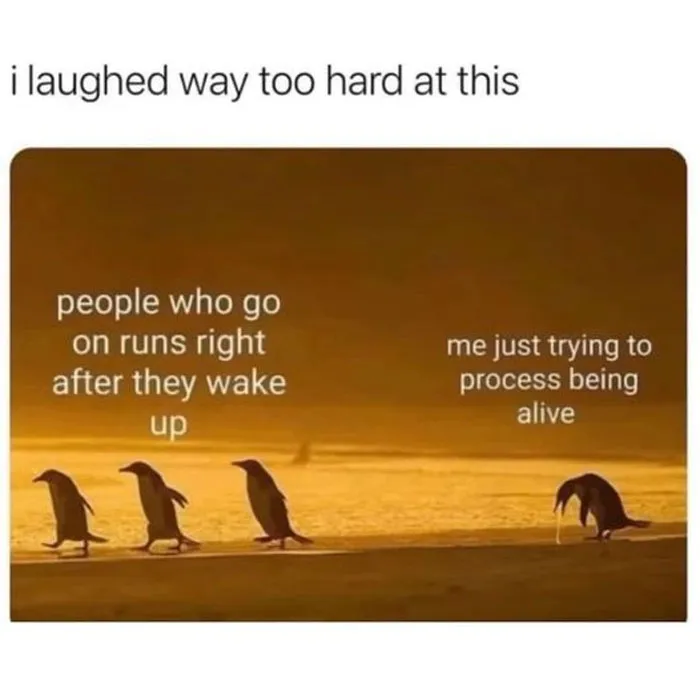 "The Narcoleptic Goddess" Facebook Page Is Dedicated To Funny And Relatable Memes, And Here Are 50 Of The Best Ones