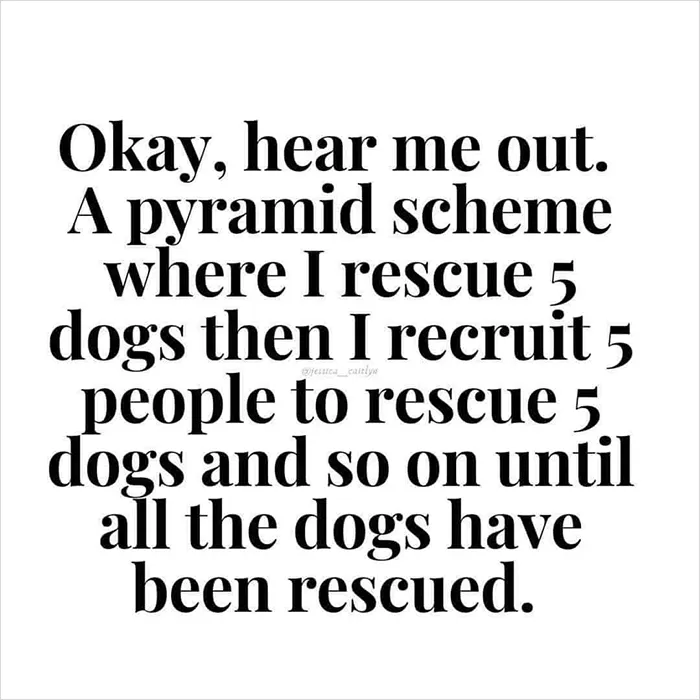 An Mlm I Could Get Behind