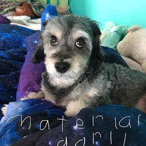 Kindaabigdeal