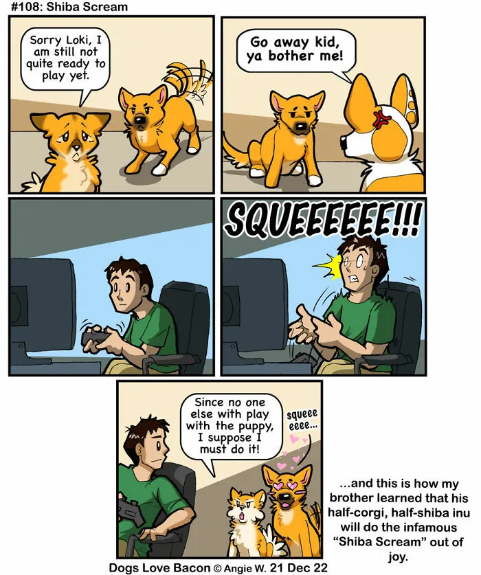 I Capture The Funny Reality Of Being A Dog Owner And Put It Into My Comics (25 New Pics)