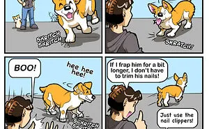 I Capture The Funny Reality Of Being A Dog Owner And Put It Into My Comics (25 New Pics)