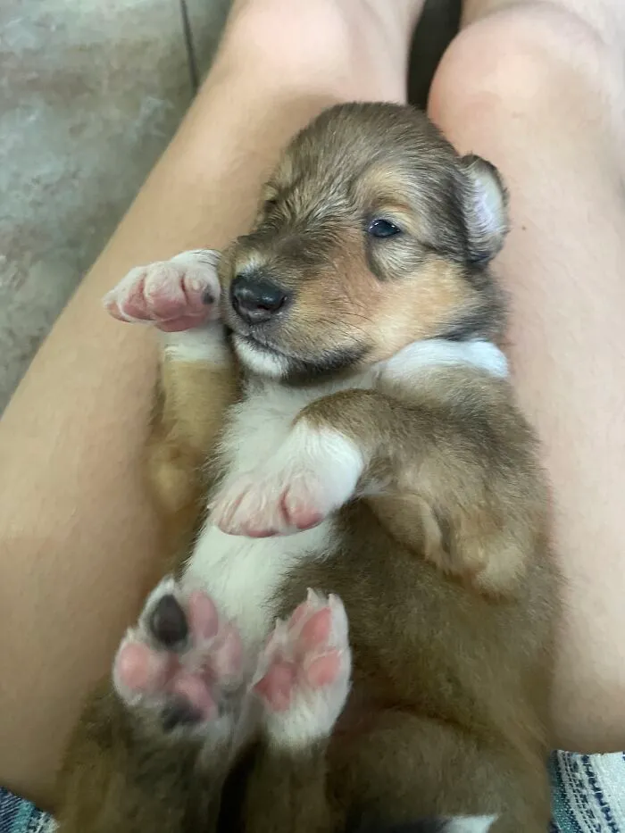 Little Baby
