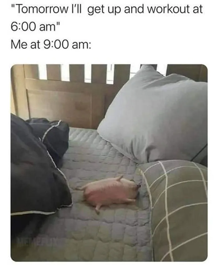 "The Narcoleptic Goddess" Facebook Page Is Dedicated To Funny And Relatable Memes, And Here Are 50 Of The Best Ones