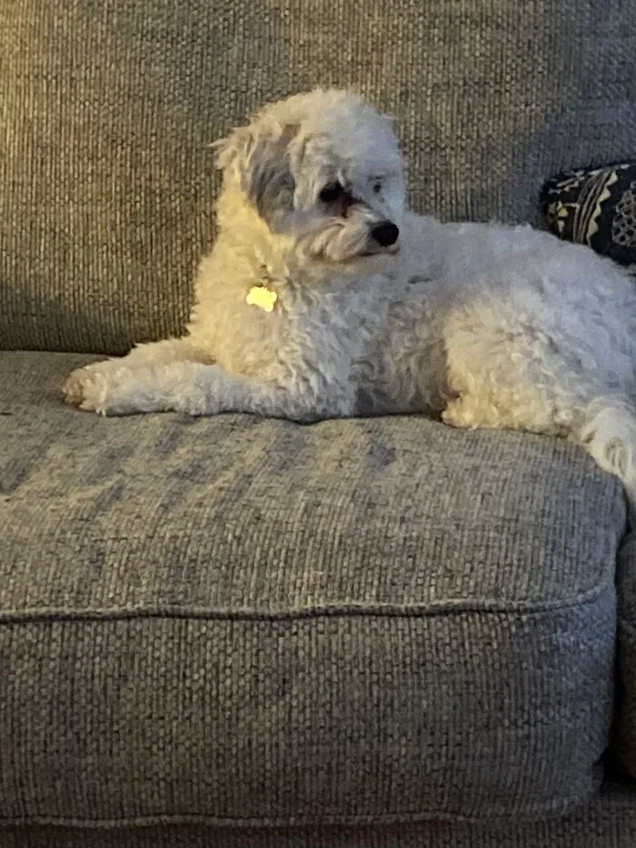 Here Are Some Photos Of My Pets To Hopefully Brighten Your Day (20 Pics)