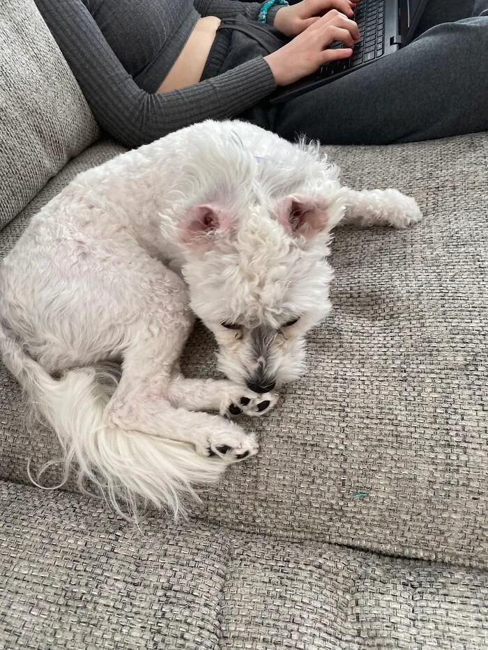 Here Are Some Photos Of My Pets To Hopefully Brighten Your Day (20 Pics)