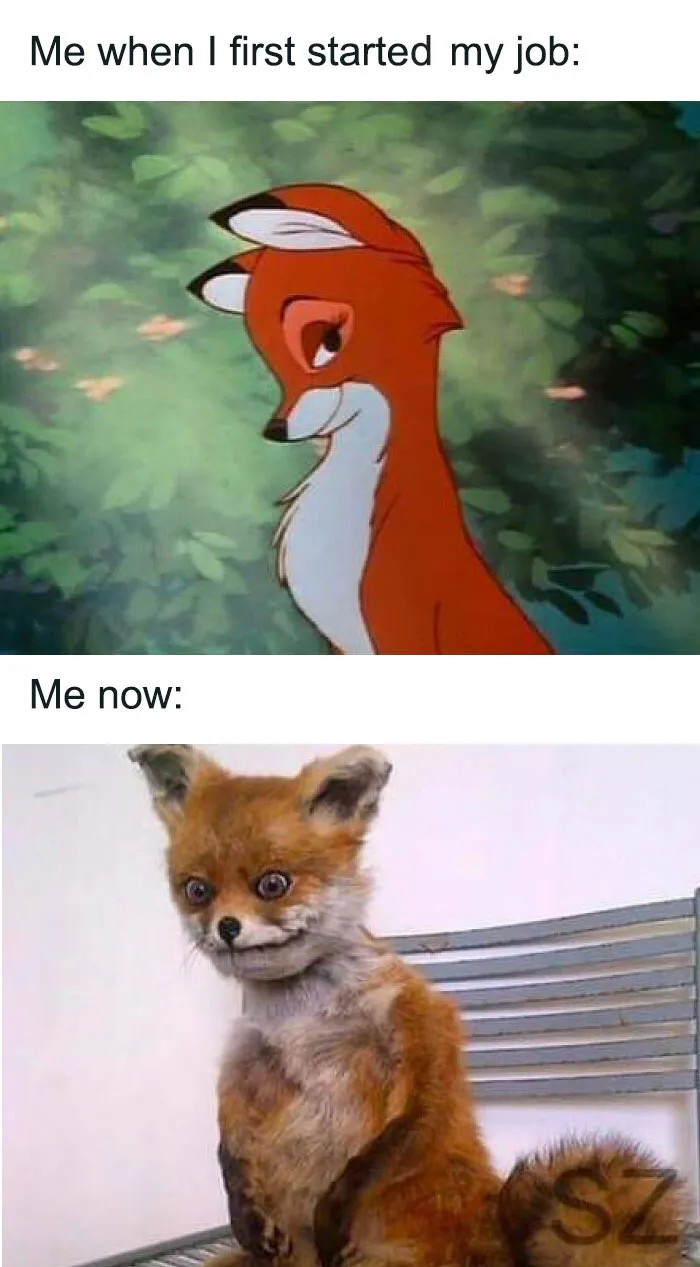 50 Hilarious Memes About Office Life That You'll Probably Want To Share With Your Coworkers