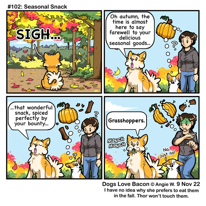 I Capture The Funny Reality Of Being A Dog Owner And Put It Into My Comics (25 New Pics)