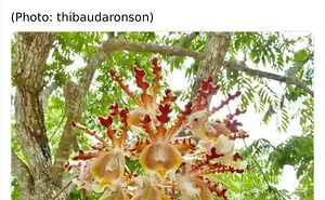 “Nature Is Weird”: 50 Interesting Pics And Facts About Mother Nature Shared By This Account