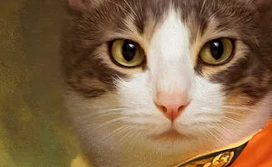 The Cats Are Up To Something