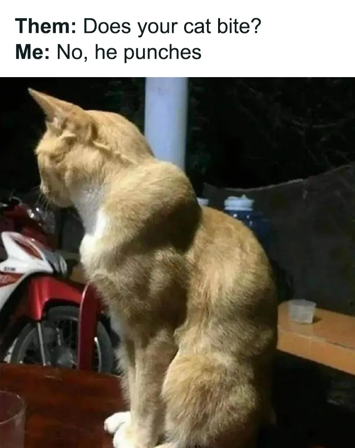 50 Funny "Uncomfortable Memes" To Make You Laugh, As Shared On This Facebook Page