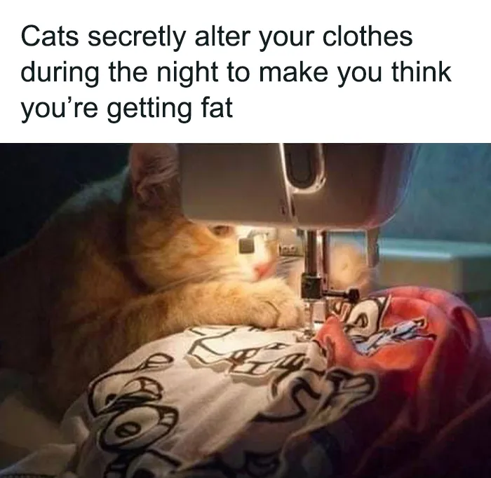 50 Funny "Uncomfortable Memes" To Make You Laugh, As Shared On This Facebook Page