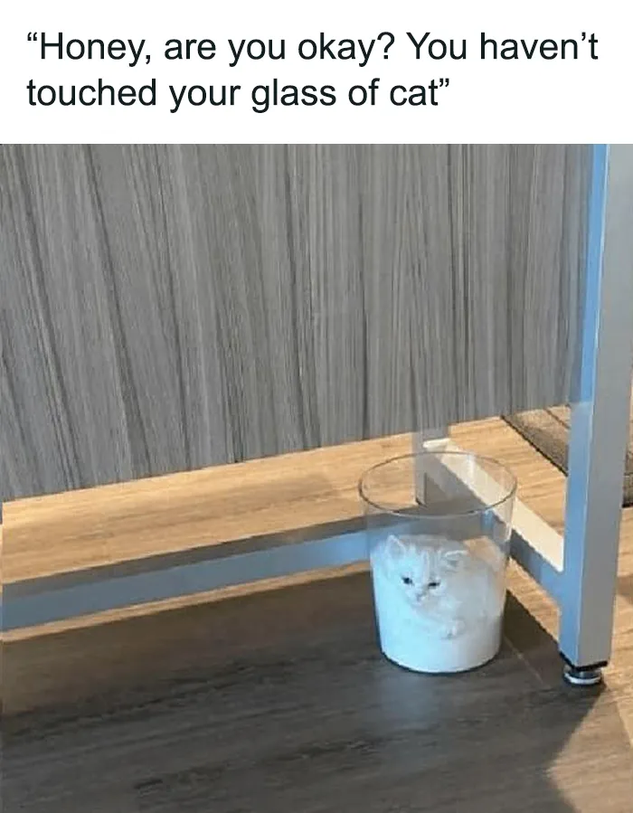 50 Funny "Uncomfortable Memes" To Make You Laugh, As Shared On This Facebook Page