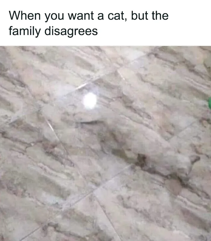 50 Funny "Uncomfortable Memes" To Make You Laugh, As Shared On This Facebook Page