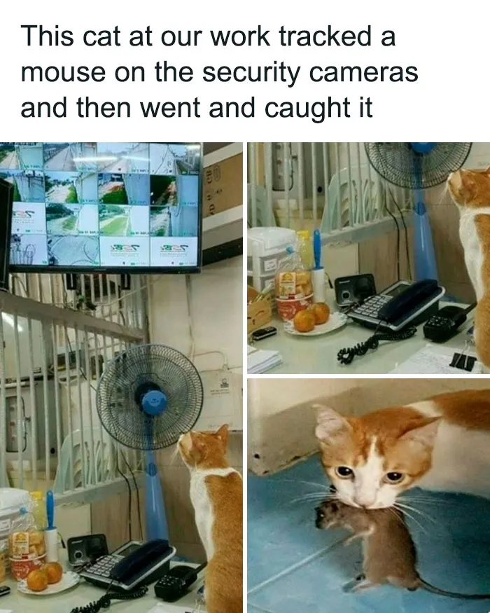 Hmm