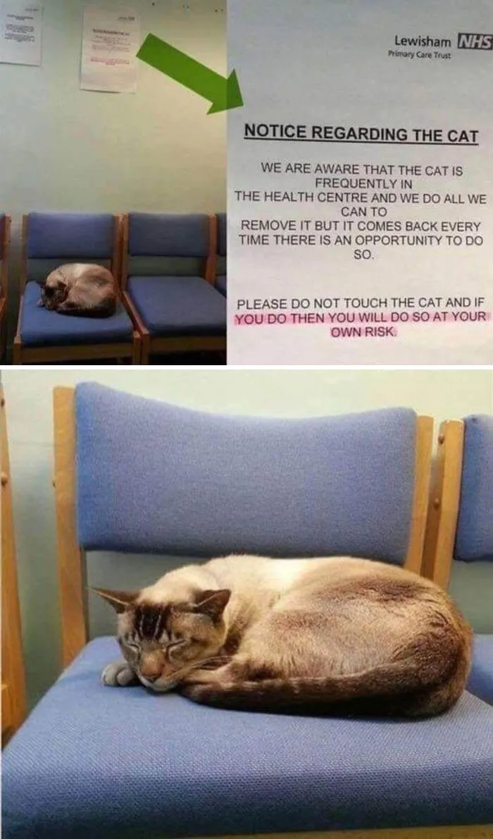 This Facebook Group Is Full Of The Funniest And Craziest Signs Found In Public, And Here Are 30 Of The Best Ones