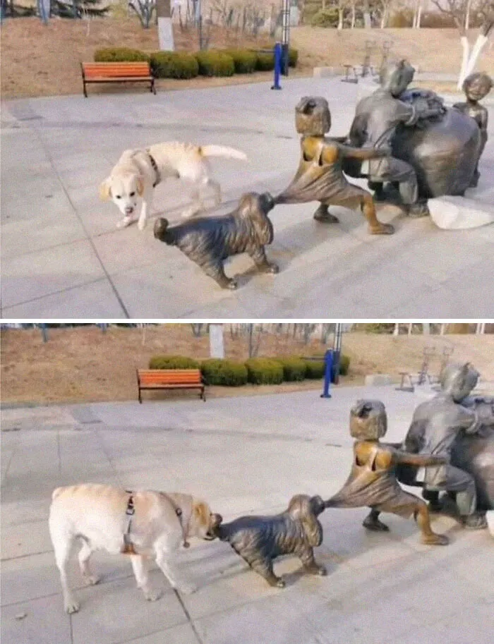 When You Don't Know What You're Doing But You Want To Help