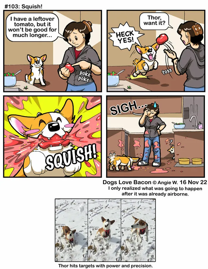 I Capture The Funny Reality Of Being A Dog Owner And Put It Into My Comics (25 New Pics)