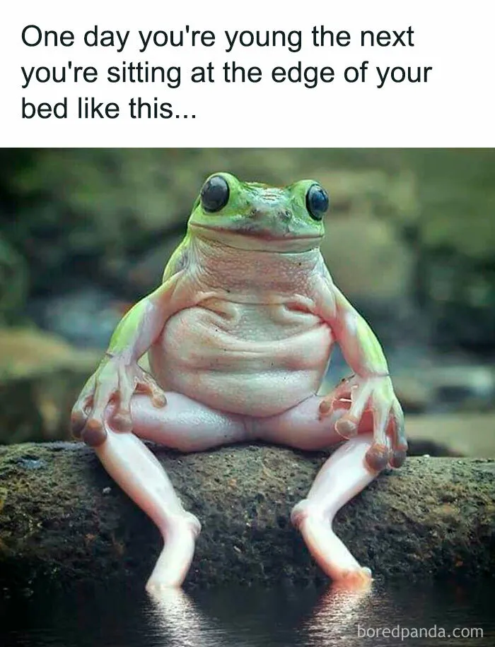 “This is Why I’m Single”: 50 Memes For People Who Can’t Seem To Find A Relationship