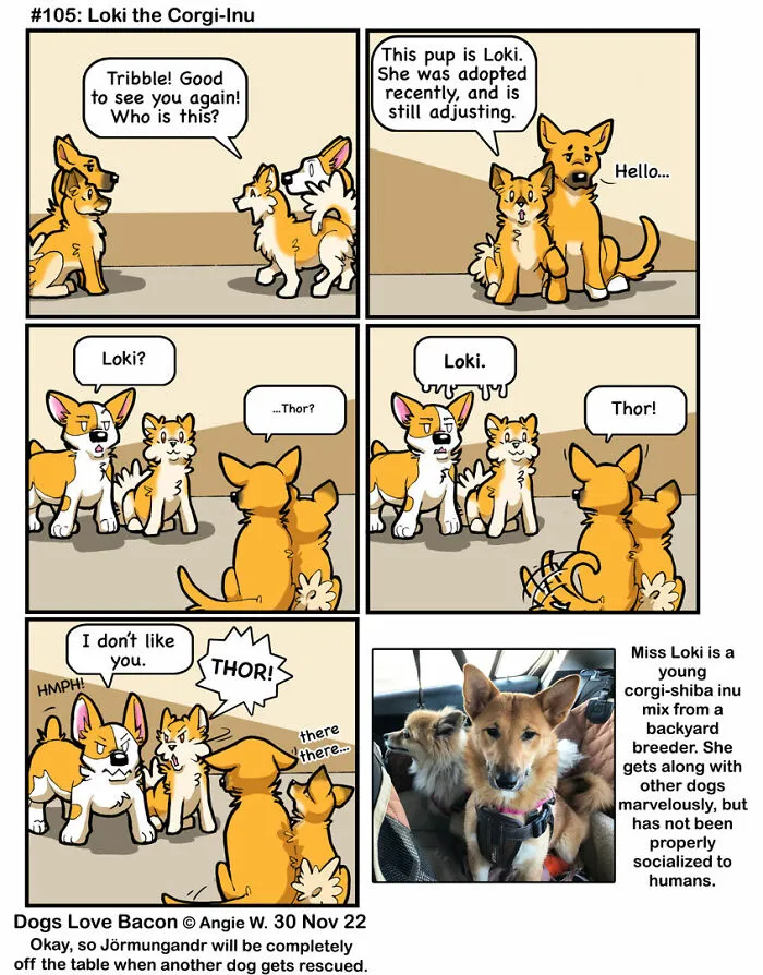 I Capture The Funny Reality Of Being A Dog Owner And Put It Into My Comics (25 New Pics)