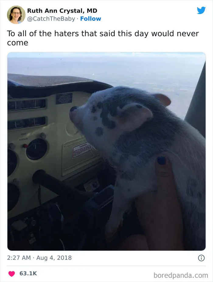 50 Funny "Uncomfortable Memes" To Make You Laugh, As Shared On This Facebook Page