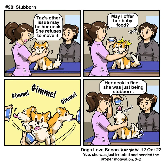 I Capture The Funny Reality Of Being A Dog Owner And Put It Into My Comics (25 New Pics)