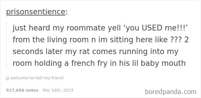 A Tumblr screenshot of a post where a user hears their roommate yell and then sees their rat with a french fry.