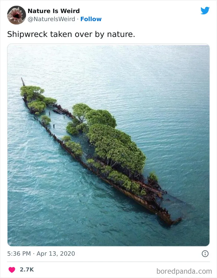 “Nature Is Weird”: 50 Interesting Pics And Facts About Mother Nature Shared By This Account
