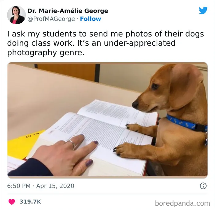 ‘Science Memes’: 50 Of The Most Relatable Posts That Perfectly Marry Knowledge And Humor