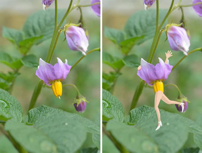 'Do You See What I See?': 40 Imaginative Illustrations That This Artist Created By Giving Life To Everyday Objects