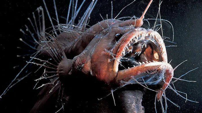 People Share 40 Creepy Things That They Wish Were Lies But Are Actually Scientific Facts