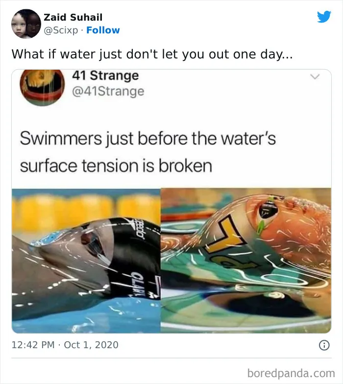 ‘Science Memes’: 50 Of The Most Relatable Posts That Perfectly Marry Knowledge And Humor