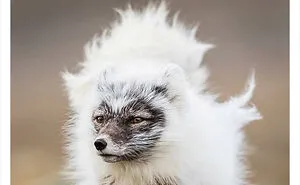 “Nature Is Weird”: 50 Interesting Pics And Facts About Mother Nature Shared By This Account