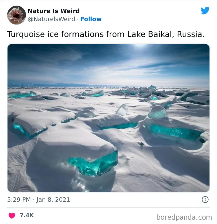 “Nature Is Weird”: 50 Interesting Pics And Facts About Mother Nature Shared By This Account