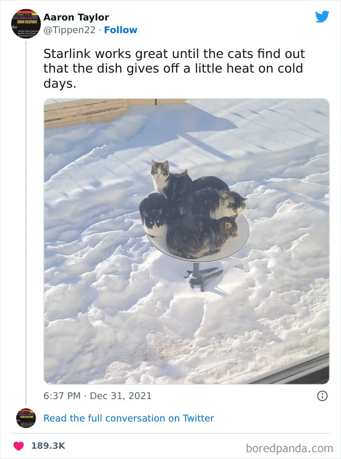 86 Funny Canadian Tweets That Tell It Like It Is
