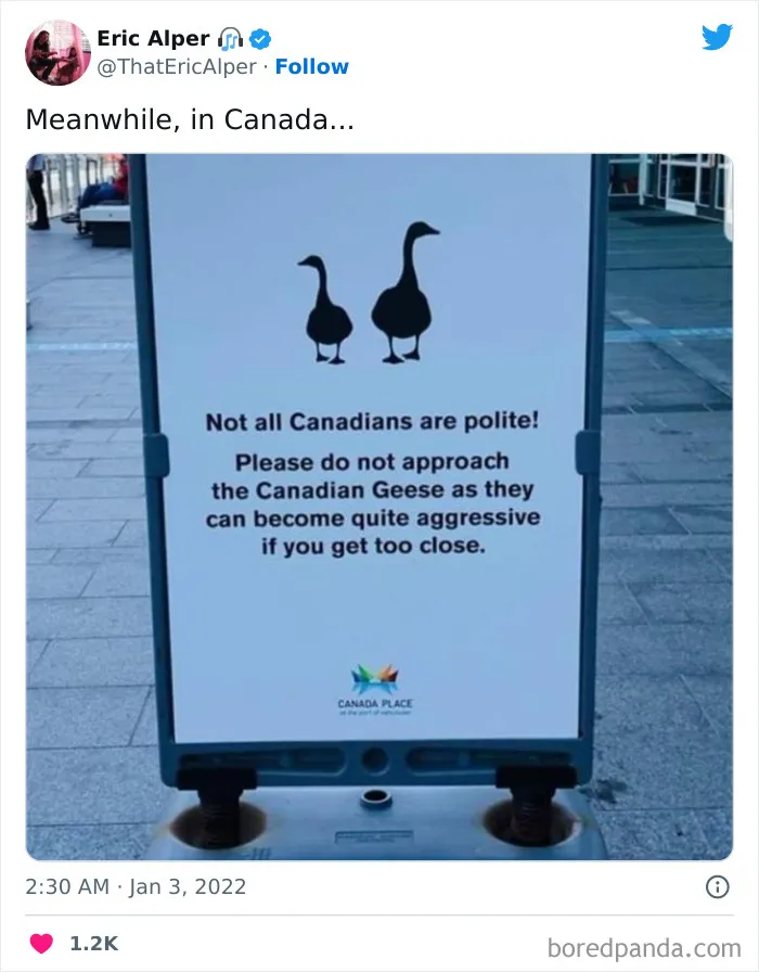 86 Funny Canadian Tweets That Tell It Like It Is