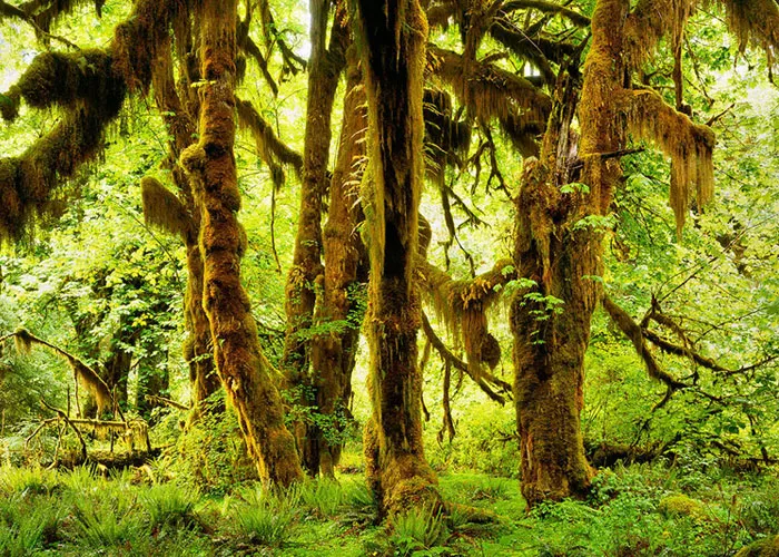 30 Places In The US That Are So Beautiful, Everyone Should Visit Them At Least Once