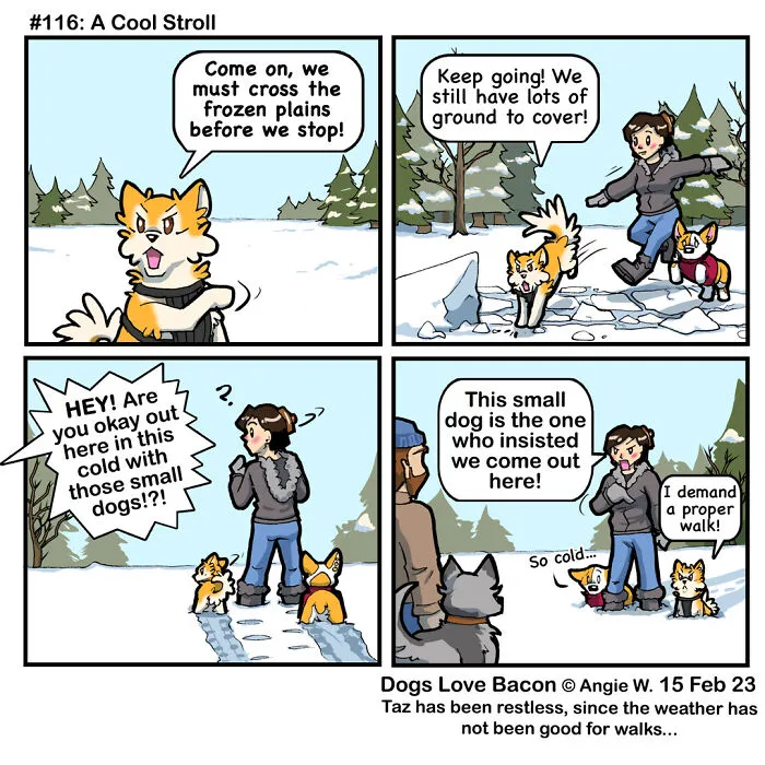 I Capture The Funny Reality Of Being A Dog Owner And Put It Into My Comics (25 New Pics)