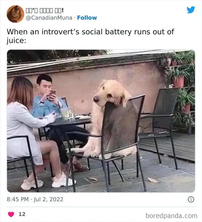 “Introvert Problems”: 50 Of The Funniest Jokes That Sum Up Life As An Introvert