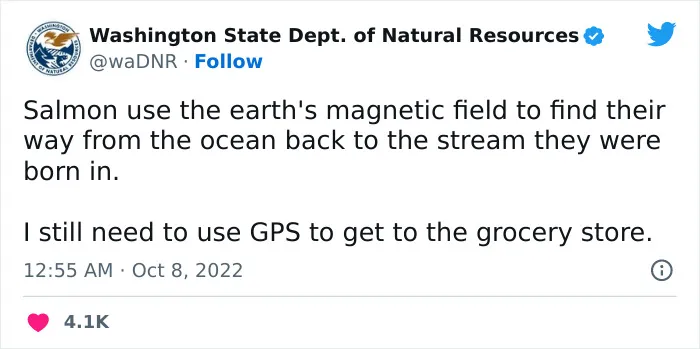 The Washington Department Of Natural Resources Twitter Has People In Stitches With These 41 Tweets