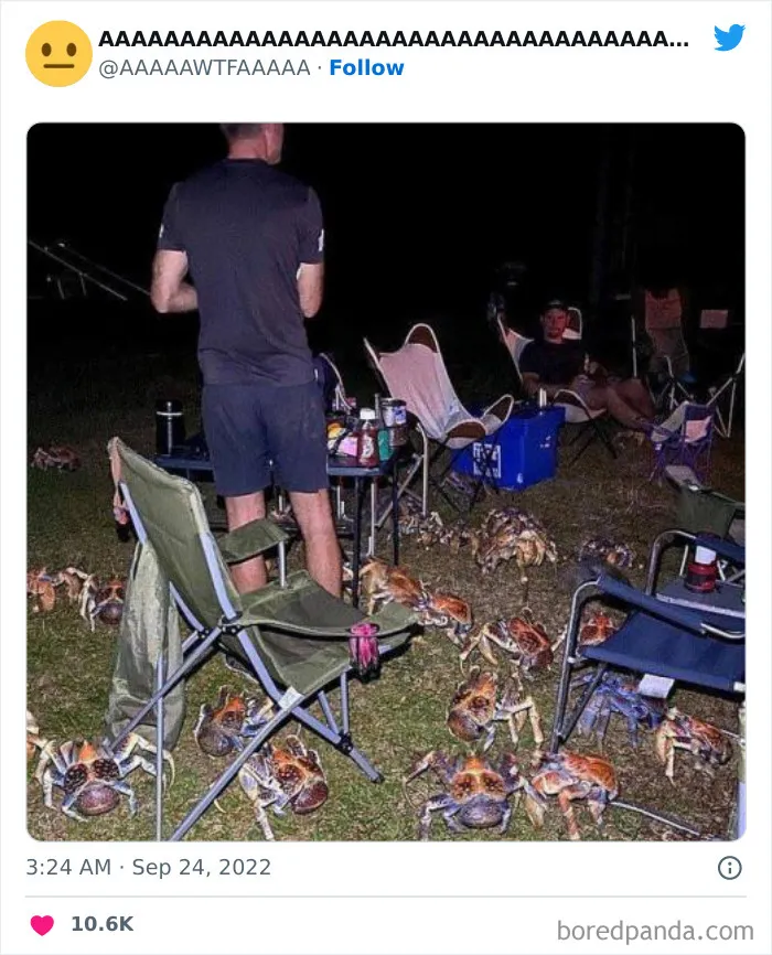 40 Random Pics From The Internet That Are So Weird They're Funny, As Shared On This Twitter Account