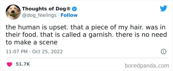 40 Of The Most Hilarious And Wholesome Dog Thoughts, As Shared By This Twitter Account (New Pics)