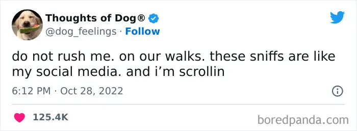 40 Of The Most Hilarious And Wholesome Dog Thoughts, As Shared By This Twitter Account (New Pics)