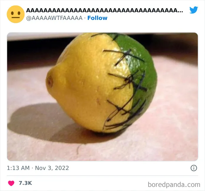 40 Random Pics From The Internet That Are So Weird They're Funny, As Shared On This Twitter Account