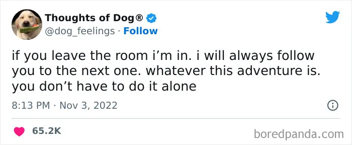 40 Of The Most Hilarious And Wholesome Dog Thoughts, As Shared By This Twitter Account (New Pics)