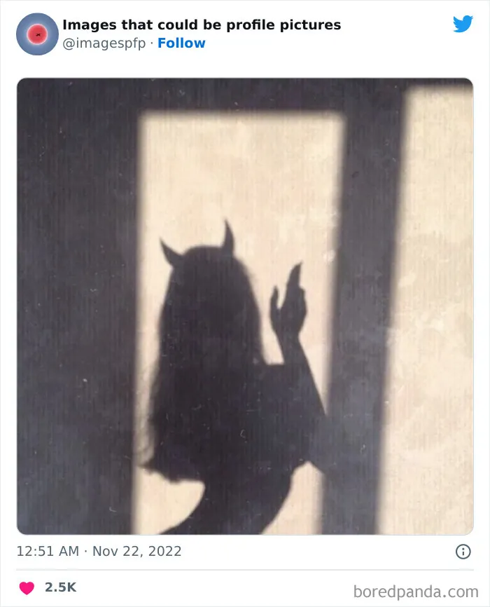 30 Of The Weirdest And Funniest Pics Shared On The "Images That Could Be Profile Pictures" Twitter Page